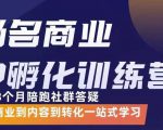 杨名商业IP孵化训练营，从商业到内容到转化一站式学 价值5980元-副业宇宙