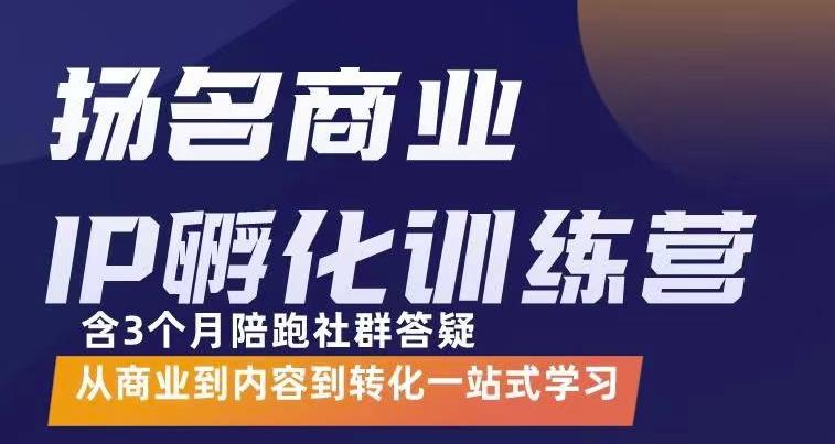 杨名商业IP孵化训练营，从商业到内容到转化一站式学 价值5980元-副业宇宙