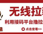 最新接码无限拉新项目,利用接码平台赚拉新平台差价,轻松日赚500+-副业宇宙