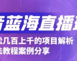 抖音最新蓝海直播玩法，3分钟赚30元，一天轻松1000+，只要你去直播就行【详细玩法教程】-副业宇宙