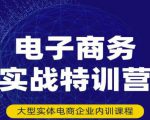 民赛电气内部出品:电子商务实战特训营,全方位带你入门电商,308种方式玩转电商-副业宇宙