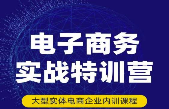 民赛电气内部出品：电子商务实战特训营，全方位带你入门电商，308种方式玩转电商-副业宇宙