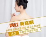 新郑市伊人坊美容:网红美容院全营销落地课程,多年美容院运营经验-副业宇宙