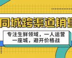 同城跨渠道销售,专注生鲜领域,一人运营一座城,避开价格战-副业宇宙