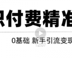 玩转知识付费项目精准引流,给你1套课多账号操作落地方案!-副业宇宙