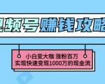 玩转微信视频号赚钱：小白变大咖涨粉百万实现快速变现1000万的现金流-副业宇宙