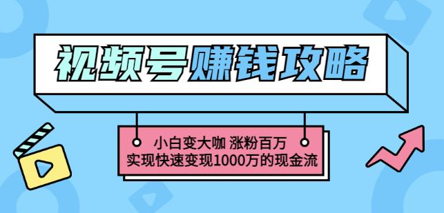 玩转微信视频号赚钱：小白变大咖涨粉百万实现快速变现1000万的现金流-副业宇宙