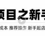 虚拟项目快速起店模式,0成本打造月入几万虚拟店铺!-副业宇宙