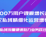8000万用户规模增长方法论私域精细化运营增长，私域流量硬课助力业务跃迁-副业宇宙