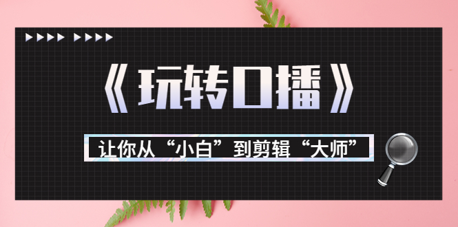 月营业额700万+大佬教您《玩转口播》让你从“小白”到剪辑“大师”-副业宇宙