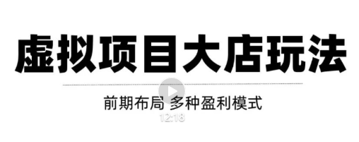 虚拟项目月入几万大店玩法分享，多店操作利润倍增（快速起店盈利）-副业宇宙