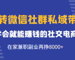 玩转微信社群私域带货，学会就能赚钱的社交电商，在家兼职副业再挣8000+-副业宇宙