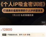 个人IP吸金密训班，打造高价值高效率的个人IP内容体系（价值12800元）-副业宇宙