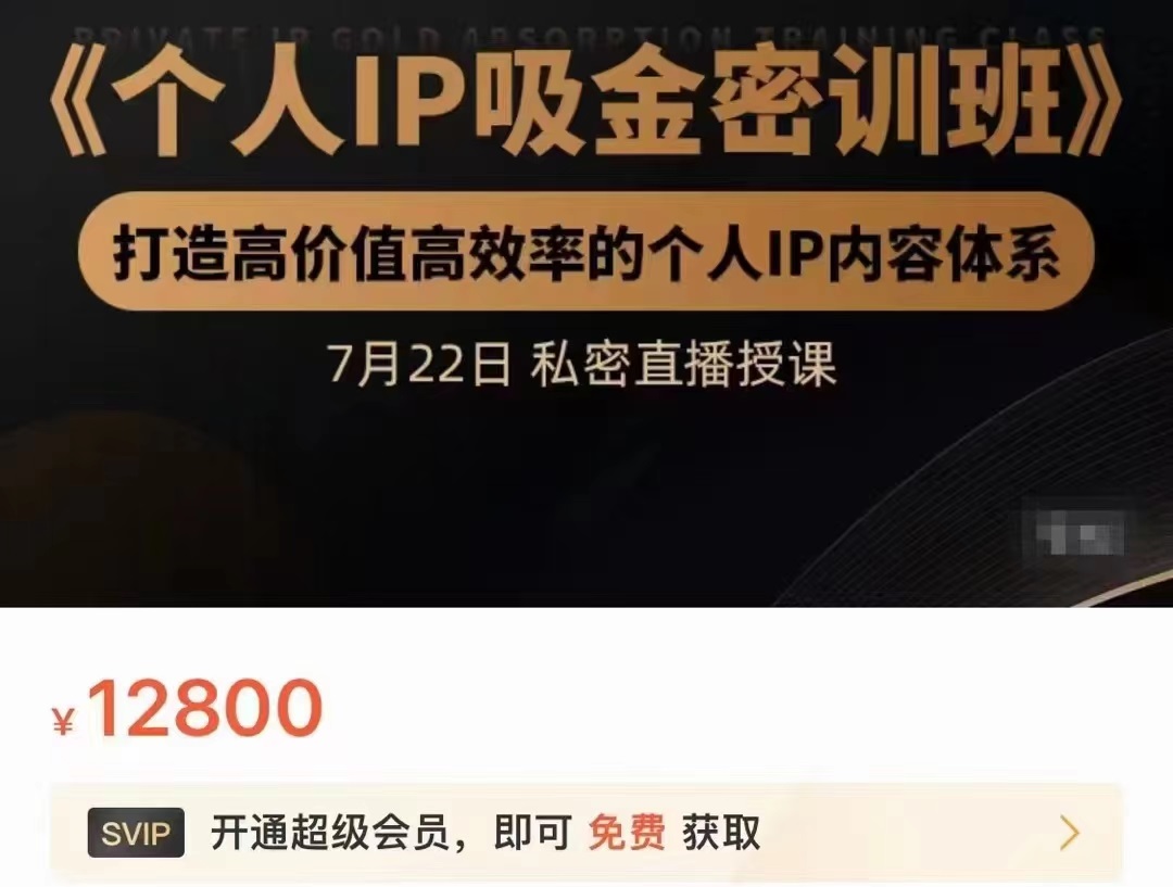 个人IP吸金密训班，打造高价值高效率的个人IP内容体系（价值12800元）-副业宇宙