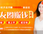 全网千万人气导师亲授：零基础/易上手的朋友圈赚钱攻略，让你轻松月入过万-副业宇宙