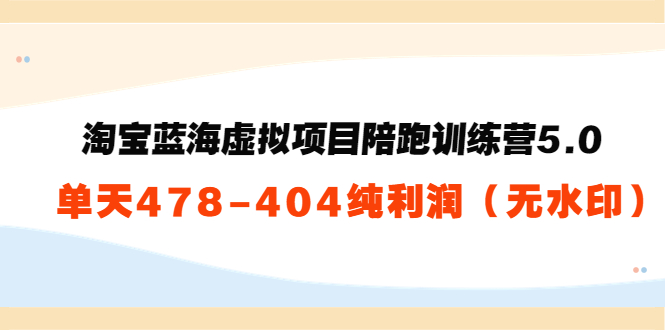 淘宝蓝海虚拟项目陪跑训练营5.0：单天478纯利润-副业宇宙