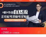 0粉0作品自然流正价起号及稳号全教程，专业自然流起号机构流程化教学（价值2980元）-副业宇宙