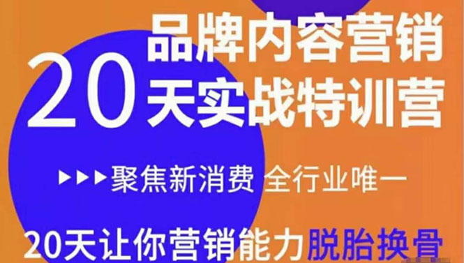 《内容营销实操特训营》20天让你营销能力脱胎换骨（价值3999）-副业宇宙