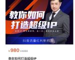 教你如何打造超级IP，抖音流量红利新机遇（价值980元）-副业宇宙
