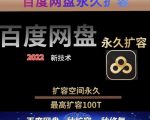 百度网盘无限扩容技术，外面卖399的，无论自己用还是用做引流都可以-副业宇宙