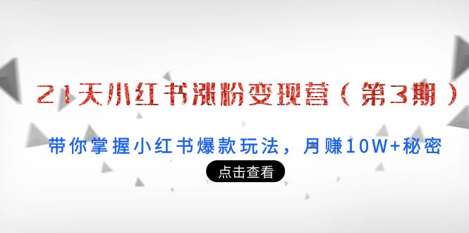 21天小红书涨粉变现营（第3期）：带你掌握小红书爆款玩法，月赚10W+秘密-副业宇宙