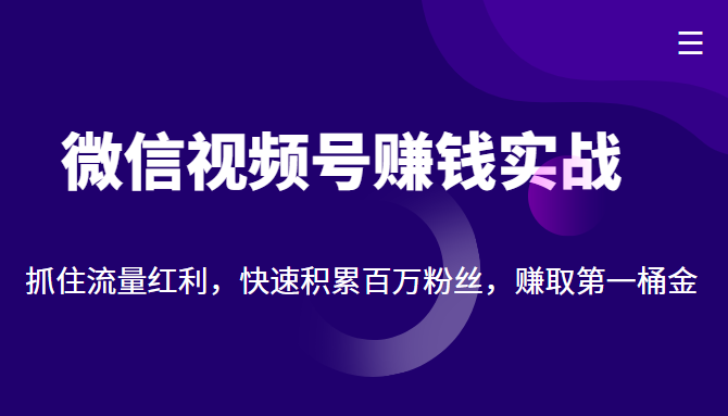 微信视频号赚钱实战：抓住流量红利，快速积累百万粉丝，赚取你的第一桶金-副业宇宙