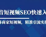抖音短视频Seo搜索排名优化新手快速入门教程，实体商家短视频，精准引流实操课-副业宇宙