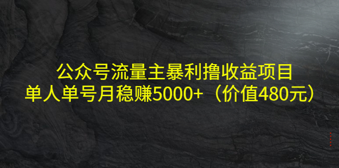 公众号流量主暴利撸收益项目，单人单号月稳赚5000+（价值480元）-副业宇宙