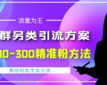 价值888的QQ群另类引流方案,半自动操作日200~300精准粉方法【视频教程】-副业宇宙