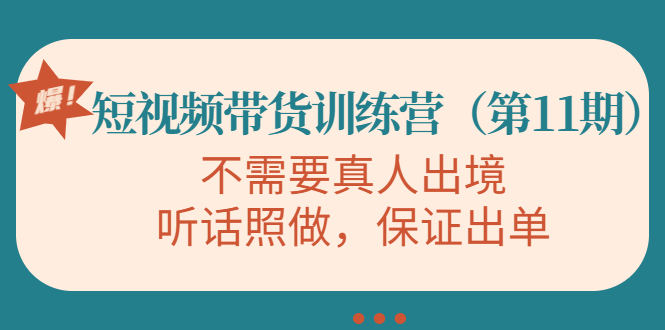 视频带货训练营，不需要真人出境，听话照做，保证出单（第11期）-副业宇宙