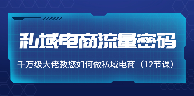 私域电商流量密码：千万级大佬教您如何做私域电商（12节课）-副业宇宙