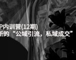 新媒体IP内训营(12期)，一套全新的“公域引流，私域成交”IP打法，直接带走-副业宇宙