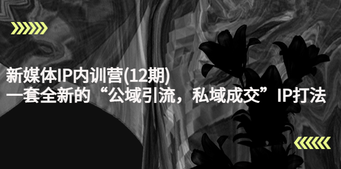 新媒体IP内训营(12期)，一套全新的“公域引流，私域成交”IP打法，直接带走-副业宇宙
