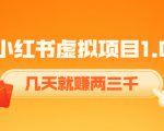 《小红书虚拟项目1.0》账号注册+养号+视频制作+引流+变现，几天就赚两三千-副业宇宙