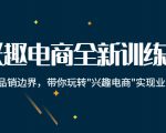 兴趣电商全新训练营:打破品销边界,带你玩转“兴趣电商“实现业务增长-副业宇宙