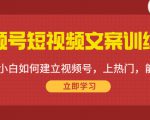 视频号短视频文案训练营:0基础小白如何建立视频号,上热门,能卖货!-副业宇宙
