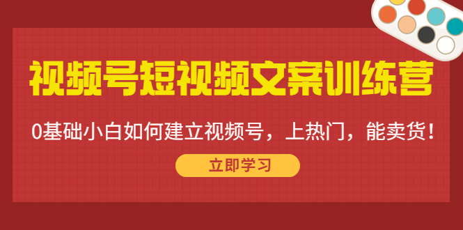 视频号短视频文案训练营：0基础小白如何建立视频号，上热门，能卖货！-副业宇宙