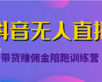 抖音无人直播带货赚佣金陪跑训练营(价值6980元)-副业宇宙