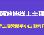 暴躁迪迪线上主播课,金牌主播教新手小白如何开播-副业宇宙