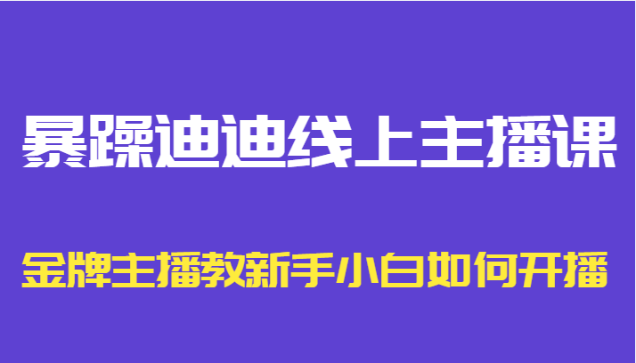 暴躁迪迪线上主播课，金牌主播教新手小白如何开播-副业宇宙