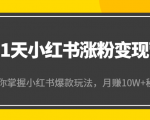 21天小红书涨粉变现营（第4期）：带你掌握小红书爆款玩法，月赚10W+秘密-副业宇宙