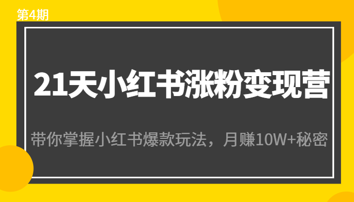 21天小红书涨粉变现营（第4期）：带你掌握小红书爆款玩法，月赚10W+秘密-副业宇宙