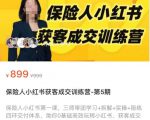保险人小红书获客成交训练营,0基础高效玩转小红书,可复制的获客成交之路-副业宇宙