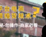 外面收费2980的全平台电商白嫖撸货技术（仅揭秘勿操作-商家防范必看）-副业宇宙
