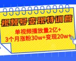21天视频号变现特训营:单视频播放量2亿+3个月涨粉30w+变现20w+(第14期)-副业宇宙