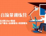 美业抖音流量训练营:从0到10w+粉丝 让你的门店用户增长+业绩增长+利润增长-副业宇宙