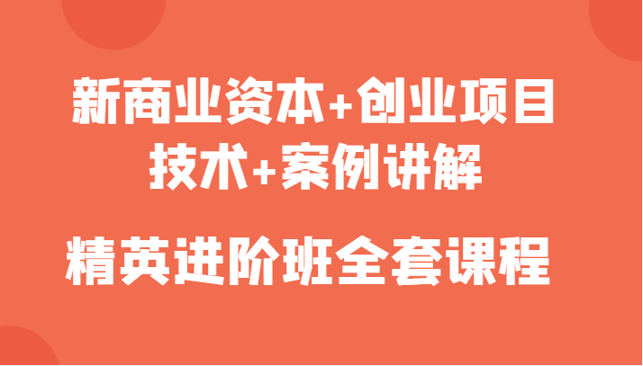 新商业资本+创业项目，技术+案例讲解，精英进阶班全套课程-副业宇宙