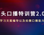 镜头口播特训营2.0版,学习文案编导以及拍摄口播能力(50节课时)-副业宇宙