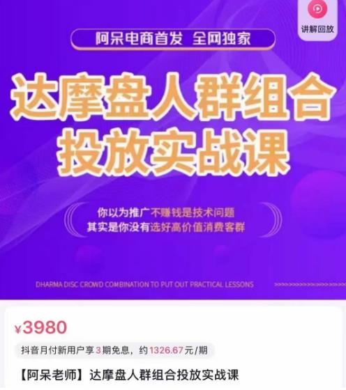 阿呆电商·达摩盘人群组合投放实战课，你以为推广不赚钱是技术问题，其实是你没有选好高价值消费客群-副业宇宙