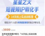 瑶瑶·自然流短视频IP孵化第二期，14天线上实战训练营，赋能100个人成为有数据能赚钱的独立IP孵化手-副业宇宙
